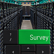 Data Warehouse surveys graphic